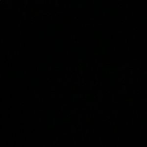 Meet your Posher, Levester